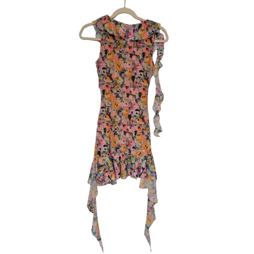Zara Multicolor Floral V-neck Mesh Ruffle Sleeveless Dress Size S NWT - Picture 3 of 9